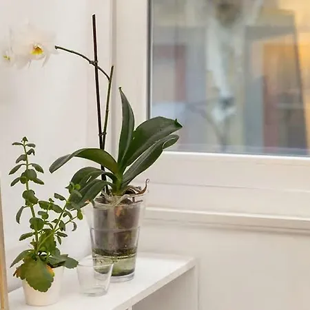 Apartment White Fabrica House